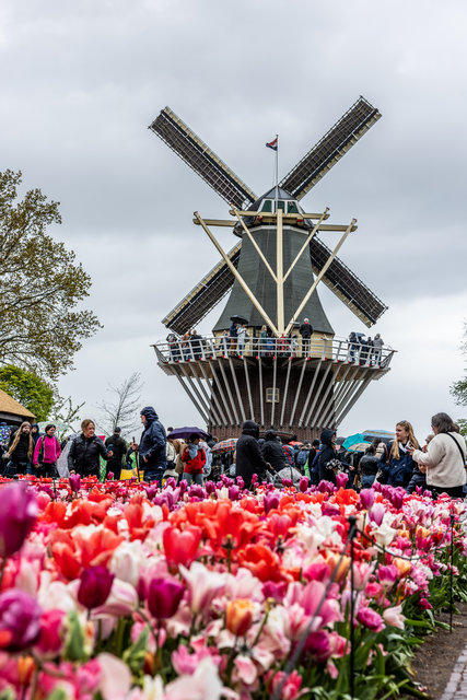 Amsterdam mama 2026-4774.jpg